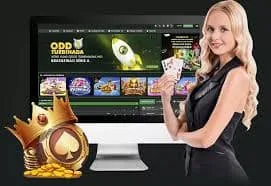 bigbola Condiciones legales que rigen tu cuenta